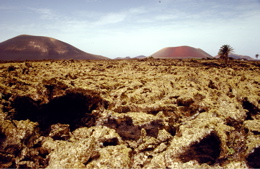 Ausflug zur Vulkanlandschaft auf Lanzarote